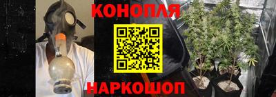 стаф Севастополь